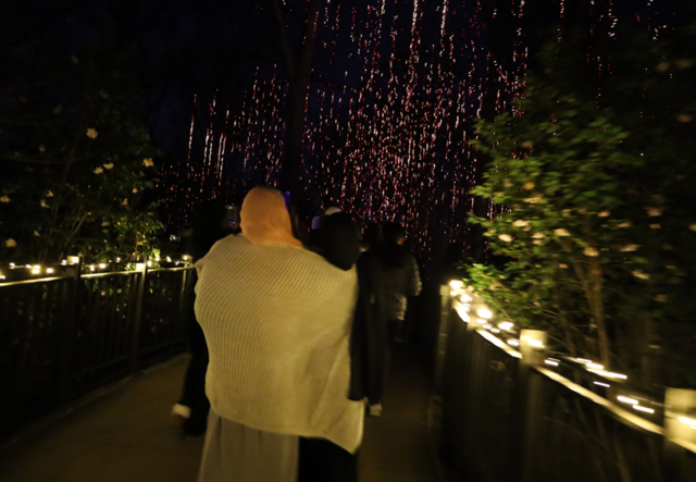 Youth Futures students enter the Canopy Walk at Garden Lights, Holiday Nights.