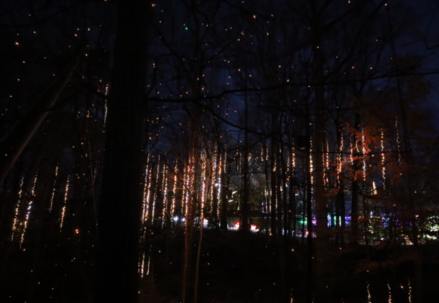 The Atlanta Botanical Garden's Canopy Walk at Garden Lights, Holiday Nights.