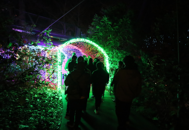 Youth Futures students entering the Tunnel of Light at the Atlanta Botanical Garden.