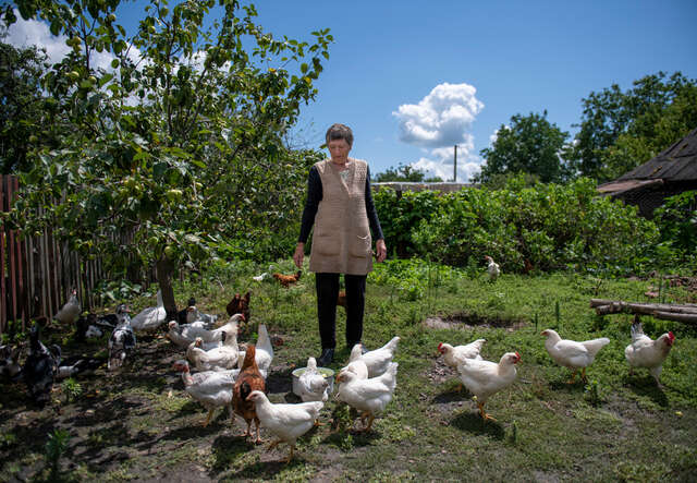 Anna står på sin gård tillsammans med sina höns