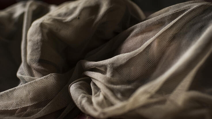 Abu asleep under a mosquito net.