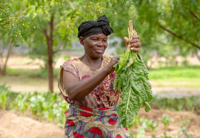 A woman holds a handful of spinach that she has recently harvested.
