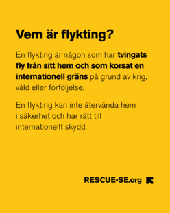 Vem är flykting definition