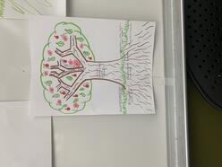 Tree of Life