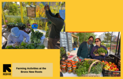 Left: Community members at the Weighing Station Right: Emily & Estela running the Saturday Farm Stand!