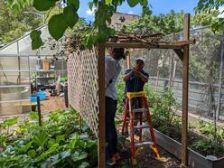 Taking Care of our Garden!