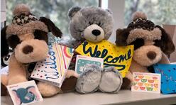Stuffed Animals, Greeting Cards, and Target Gift Cards Donated to the IRC in San Jose