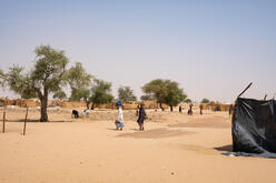 A barren and dry landscape dotted with a few trees and people carrying items over their heads.