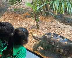 turtleback zoo