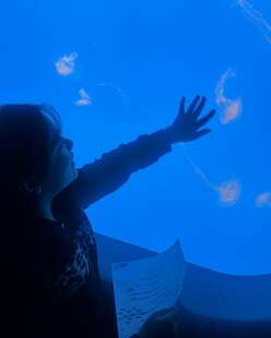 A student touches a fish tank at the aquarium.