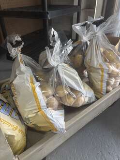 Fresh potatoes ready for distribution through IRC Tallahassee's The Last Mile initiative.