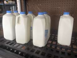 Milk and other nutritious essentials being prepared for delivery to families through IRC Tallahassee's The Last Mile initiative.