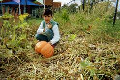 Aysha sits by a pumpkin at the New Roots Garden.