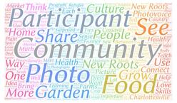 word cloud with "participant", "community", "see", "photo", "food" and "garden" being the largest words