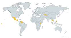 A world map with countries of human trafficking survivors served by IRC highlighted in yellow