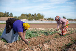 Two women with gardening tools working in a plot of land