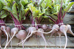 Bundles of beets laying on a table.