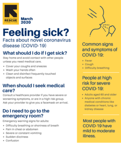 Flyer produced by the State of Idaho describing what to do if you're feeling sick. 
