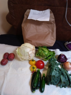 Fresh vegetables from a Pivot Produce bag delivered to a refugee in Tucson, AZ.