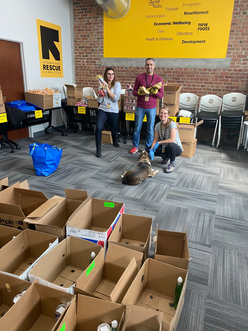 Empty boxes being filled by three IRC staff members.