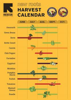 New Roots farmers market calendar graphic.