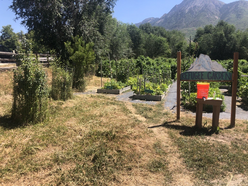 New Roots Community Garden near Mount Olympus with garden beds, trees, and a sign reading "Refugee Garden."