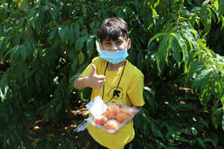 Wearing an IRC t-shirt, a young boy holds a handful of peaches and gives a thumbs up to the camera. 