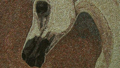 Akeel Zakarny, mosaic, art, "Horse made of Seashells"