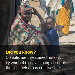 Did you know? Somalis are threatened not only by war but by devastating droughts that kill their crops and livestock.
