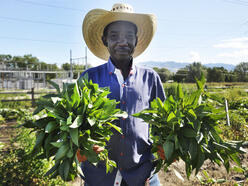 Man in sunhat holds produce grown at New Roots Farm