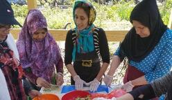 IRC clients sharing recipes at the New Roots Community Farm in the Bronx.