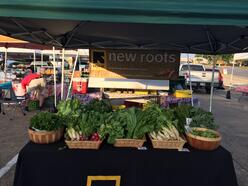 New Roots stall at Good Local Market