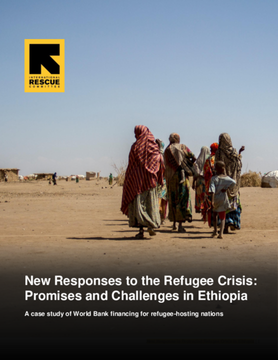 New Responses to the Refugee Crisis: Promises and Challenges in ...
