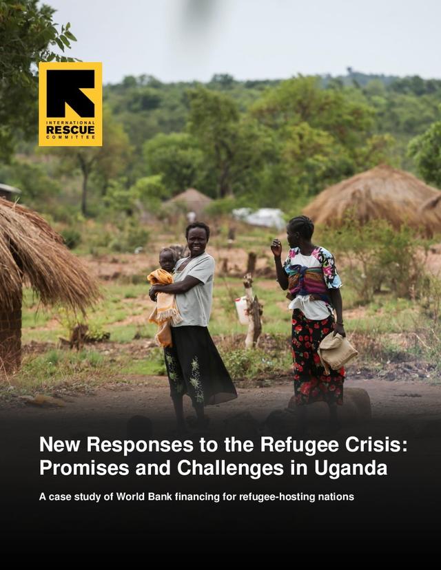 Refugee nation flag buy picture