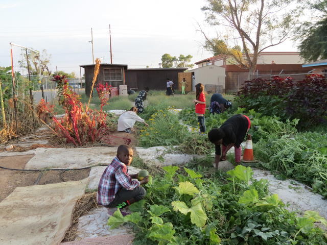 Community Garden Assistance Irc In Tucson Az