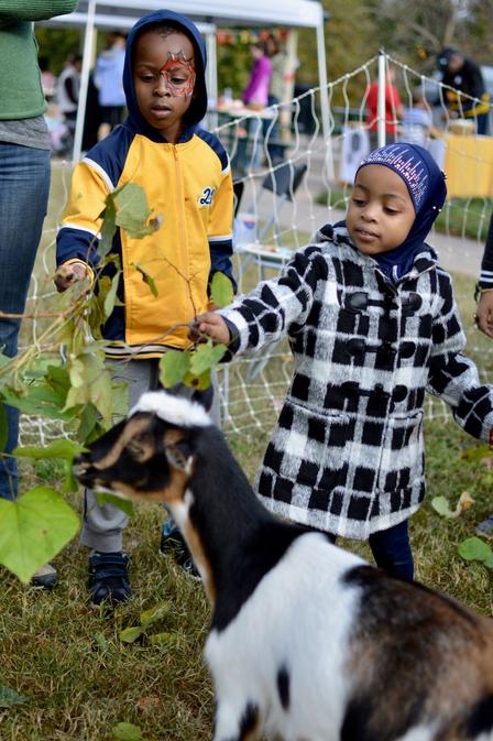 Kids feed and learn about the New Roots goats.