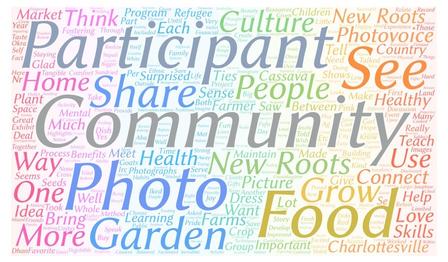 word cloud with "participant", "community", "see", "photo", "food" and "garden" being the largest words