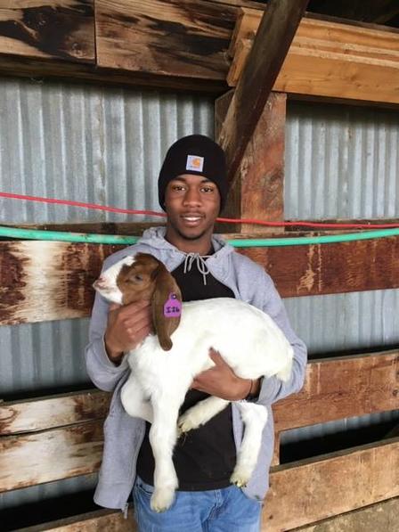 Refugee youth holds goat kid at the East African Refugee Goat Project. Refugee youth holds goat kid at the East African Refugee Goat Project, a project of the International Rescue Committee in Salt Lake City.