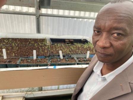 A man stands in front of newly planted tomato seeds