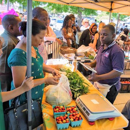 A New Roots farmer sells his produce at a summer farmer's market. Crowd of people at the New Roots farmers market.