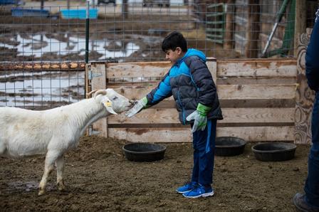 Volunteers can support the Goat Project in a variety of ways that are fun and engaging. The International Rescue Committee (IRC) in Salt Lake City is part of the East African Refugee Goat Project.