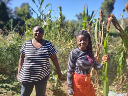 Two refugee women gardeners harvesting corn at one New Roots' six garden sites around Charlottesville Two women stand in front of corn stalks at a New Roots garden in Charlottesville