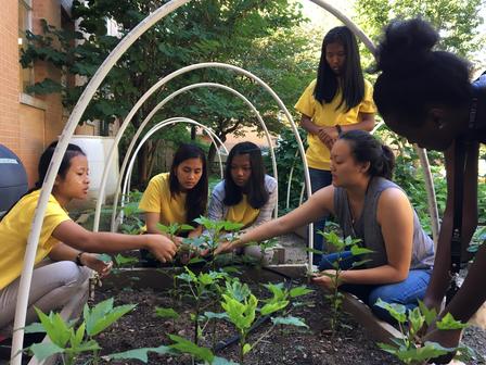 New Roots program staff work with students in the Clarkston High School garden. New Roots program staff work with students in the Clarkston High School garden.