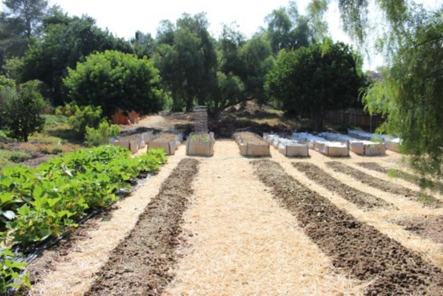 Project CHOP Featured Supplier Copper Fox Farms International Rescue