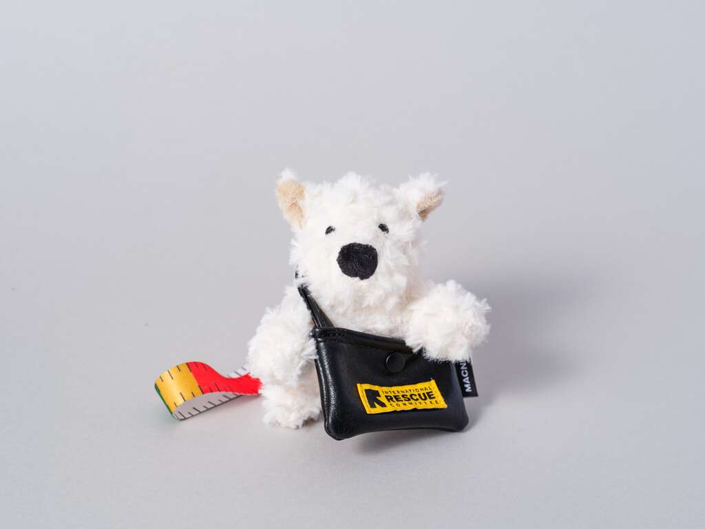 카메라를 정면으로 바로보고 있는 구조댕 (키링)