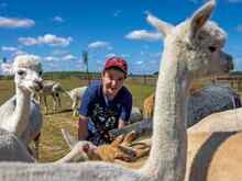 A children’s field trip at an Alpaca farm in Wola Miastkowska, Poland. Norma, in partnership with the IRC, routinely provides field trips for the children of refugee families from Ukraine who are living in a municipal shelter in Warsaw, Poland. These trips are part of the psychosocial support provided by the IRC’s funding.