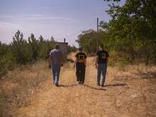 Zwei IRC-Mitarbeitende und eine weitere Person, die auf einem Feldweg zwischen Kiefern entlanggehen.