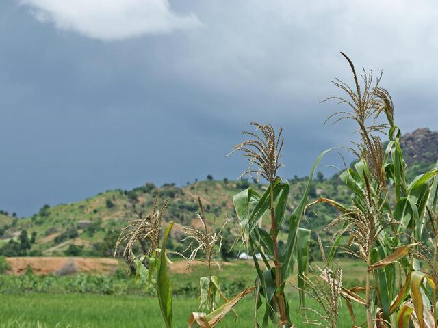 When fighting broke out, Yete and her family were forced to flee their home.