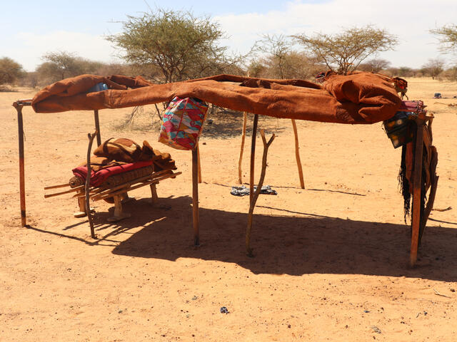 Photo of Lalla's home: a makeshift tent propped up on sticks