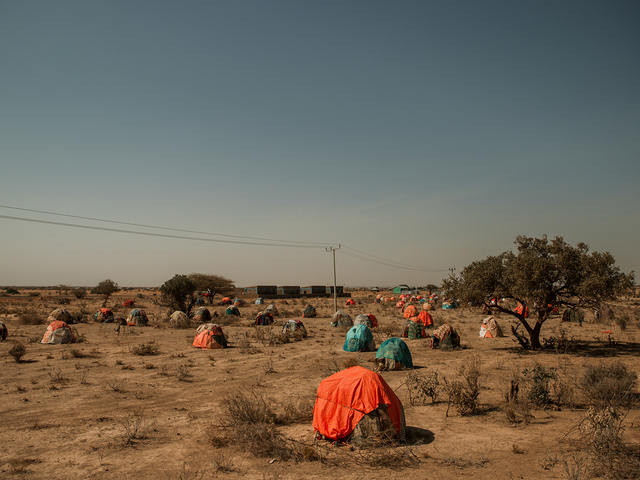 Torka på grund av klimatförändringar tvingar hela samhällen att flytta i jakt på vatten till sin boskap i Somalia.